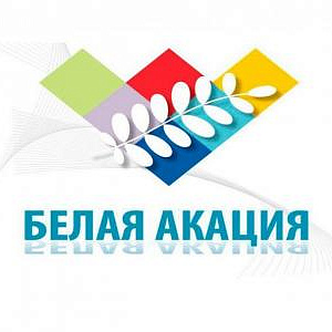Члены РАХ стали участниками V Международного форума творческих союзов «Белая акация» в Ставрополе