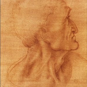 Леонардо да Винчи. Голова Иуды. Подготовительный рисунок к фреске «Тайная вечеря». 1495. Бумага, сангина. Замок Виндзор, Англия