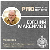 Евгений МАКСИМОВ. Цикл PROфессионалы PRO творчество
